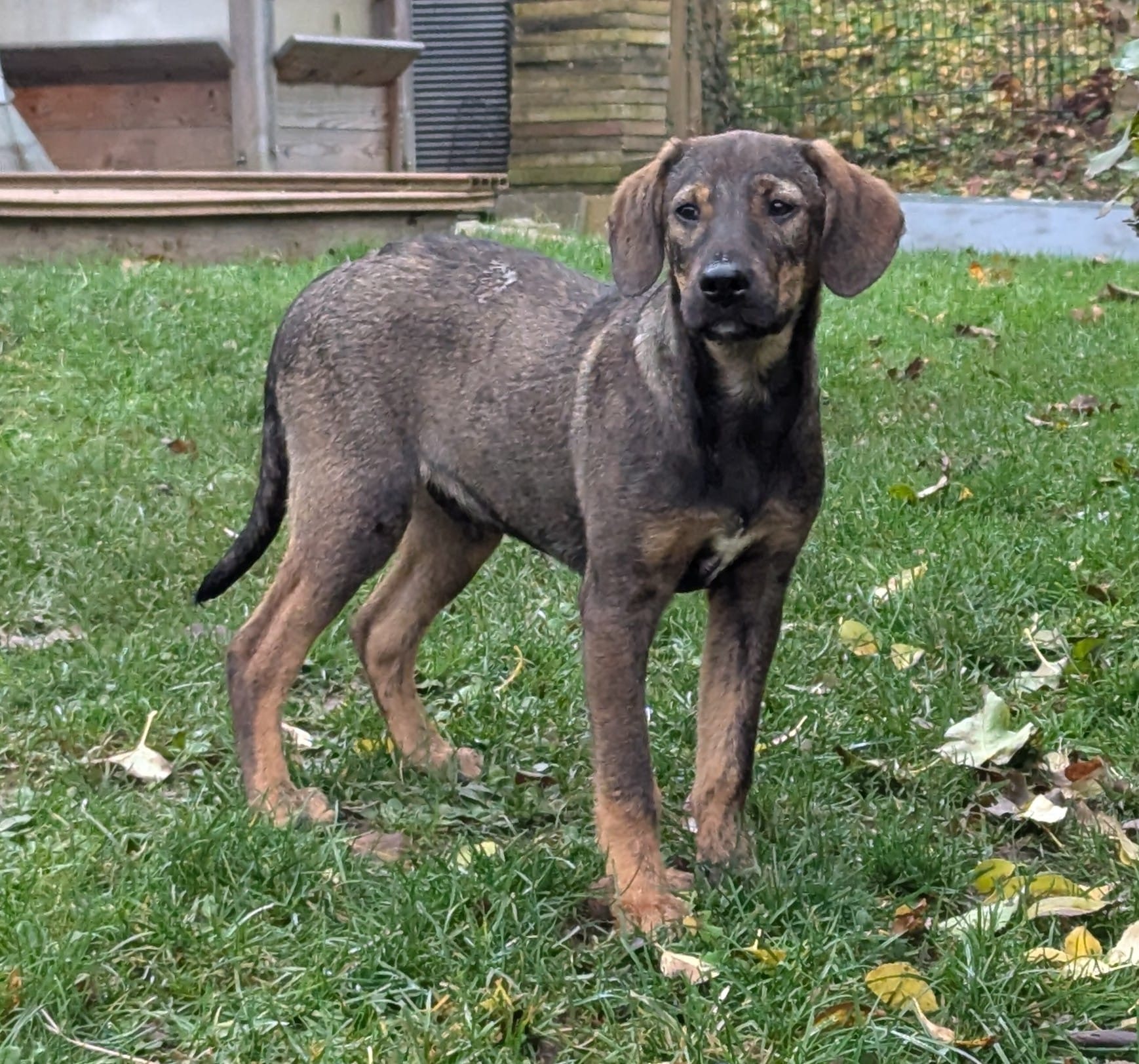 Prinz wartet in 97513 Michelau