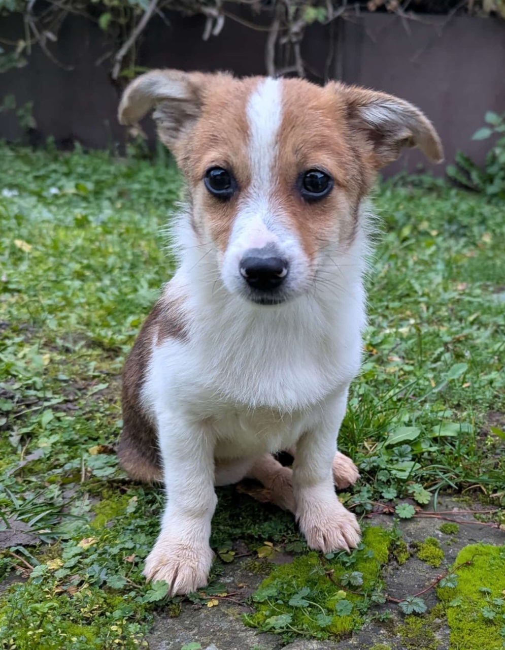 Camilla wartet in 97499 Traustadt